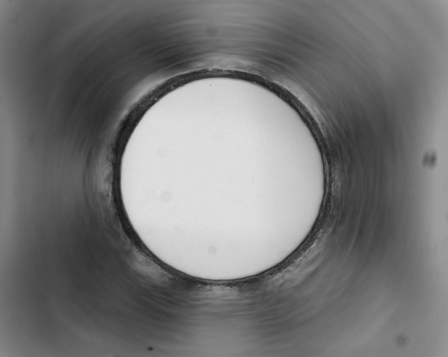 X0000102871115200809151228