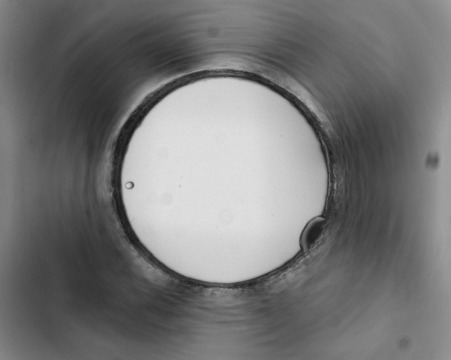 X0000102871116200809151228