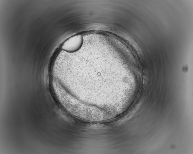 X0000102871117200809151228