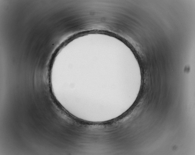 X0000102871118200809151228