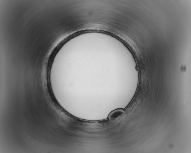 X0000102871120200809151228