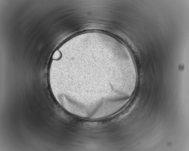 X0000102871121200809151228