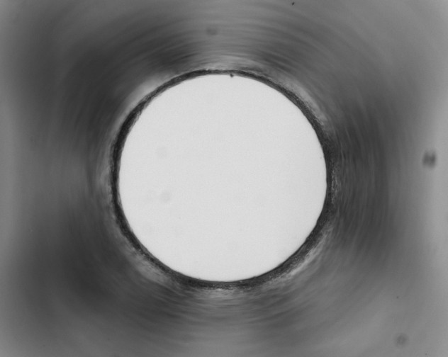 X0000102871122200809151229