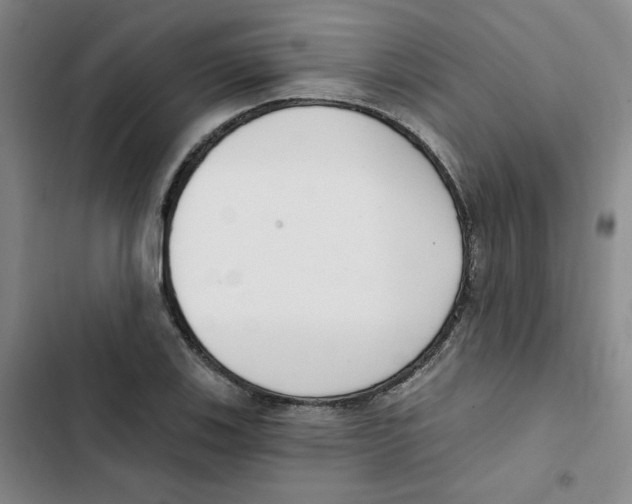 X0000102871123200809151229