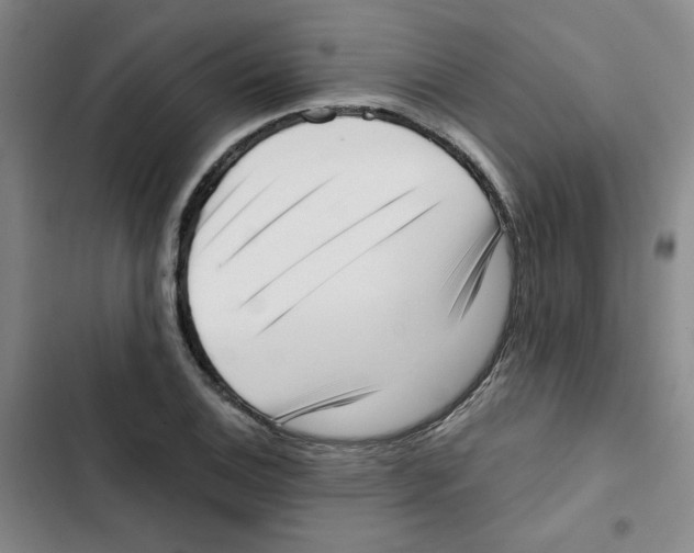 X0000102871124200809151229