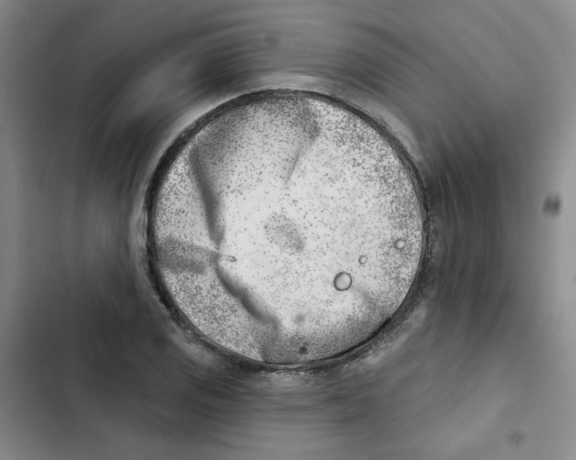 X0000102871125200809151229