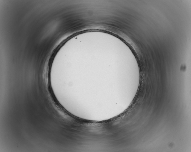 X0000102871127200809151229