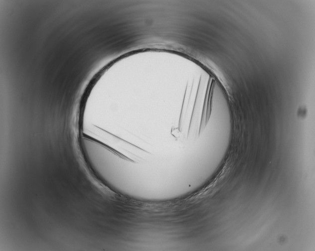 X0000102871128200809151229