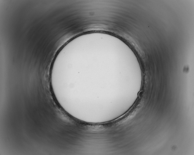 X0000102871129200809151229