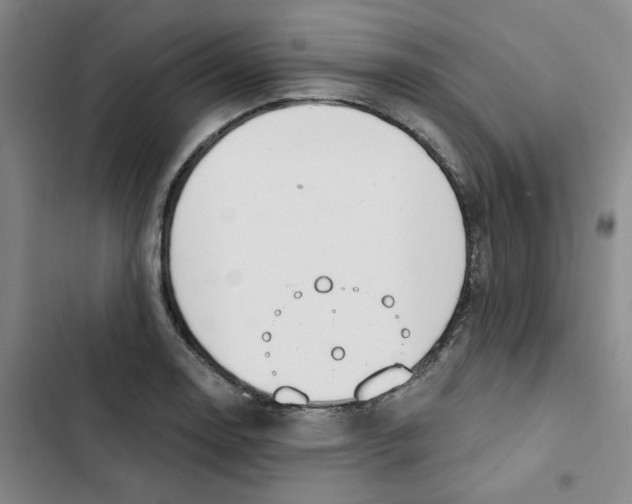 X0000102871130200809151229