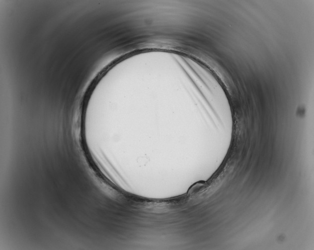 X0000102871131200809151229