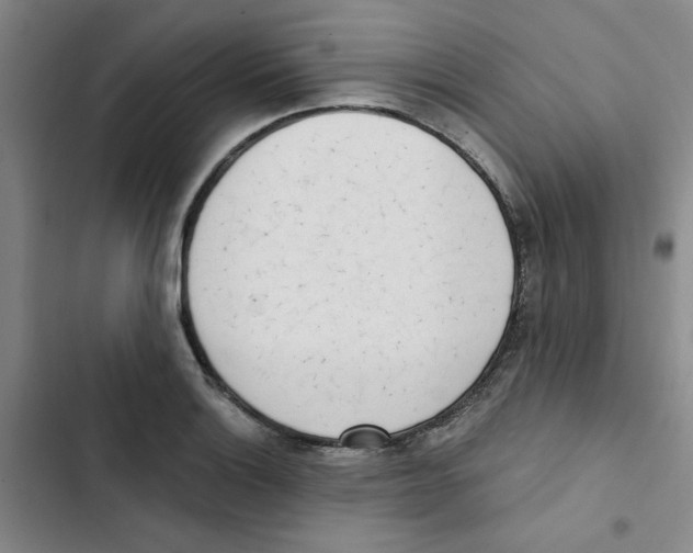 X0000102871132200809151229