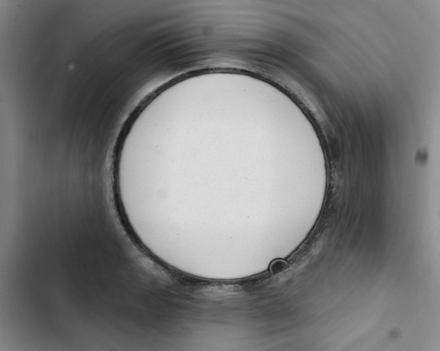 X0000102871133200809151229