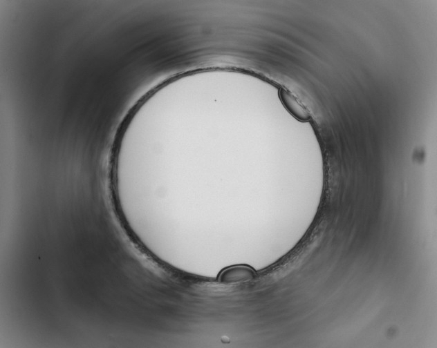 X0000102871134200809151229