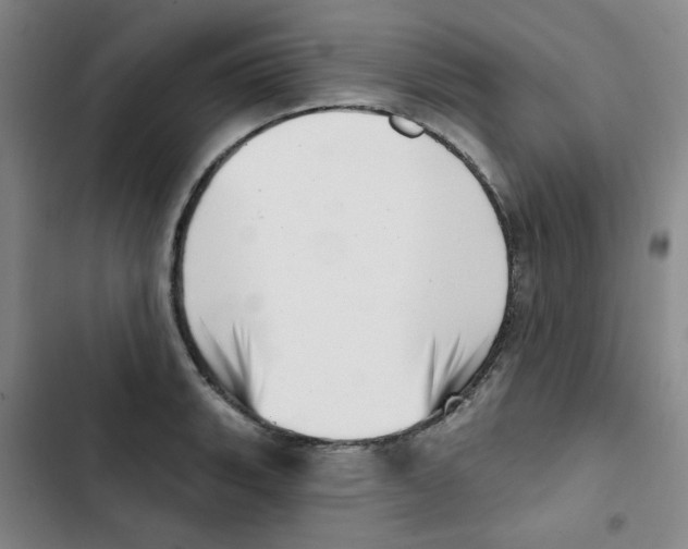 X0000102871135200809151229