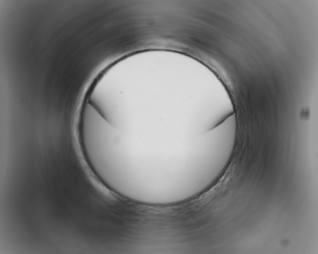 X0000102871136200809151229