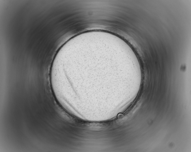 X0000102871137200809151229