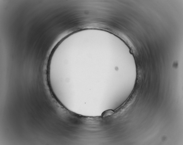 X0000102871138200809151229