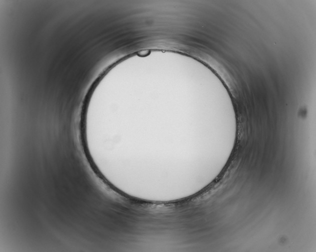 X0000102871139200809151229