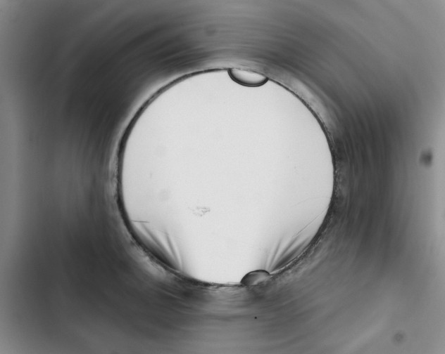 X0000102871140200809151229