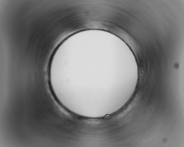 X0000102871141200809151229