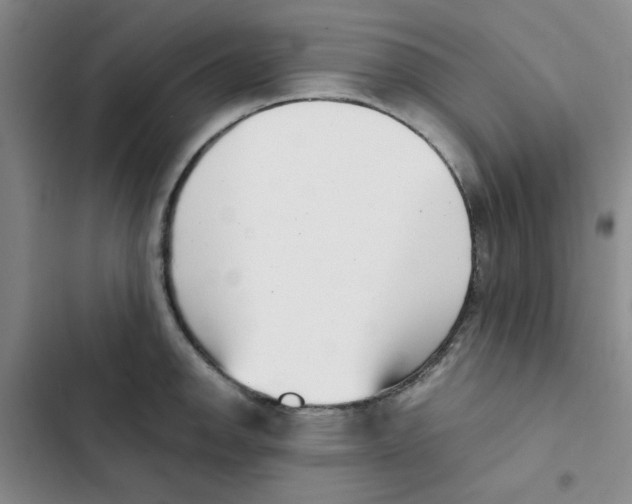 X0000102871142200809151229