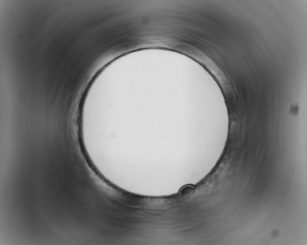 X0000102871143200809151229