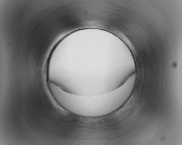 X0000102871144200809151229