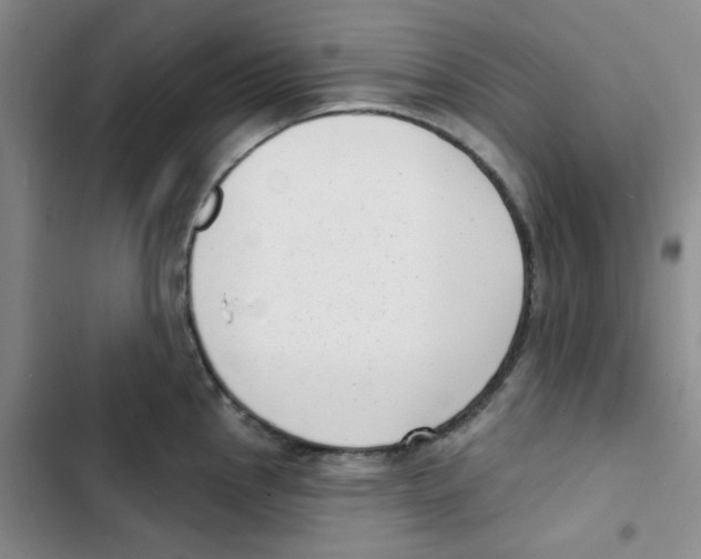 X0000102871145200809151229