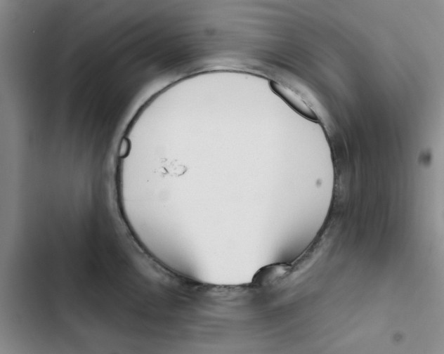 X0000102871146200809151229