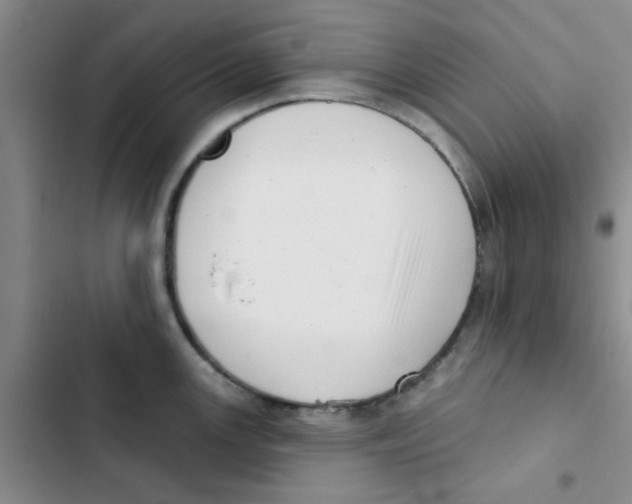 X0000102871147200809151229