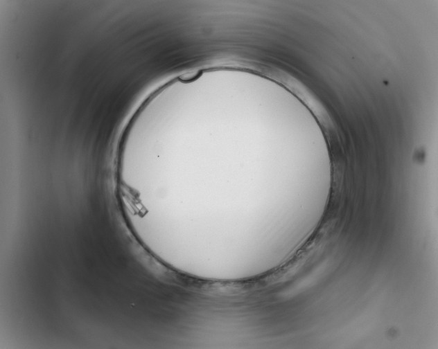 X0000102871148200809151229