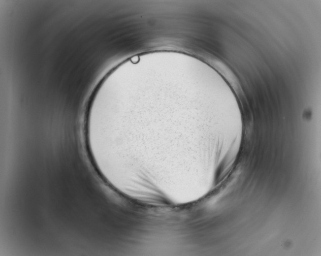 X0000102871149200809151229