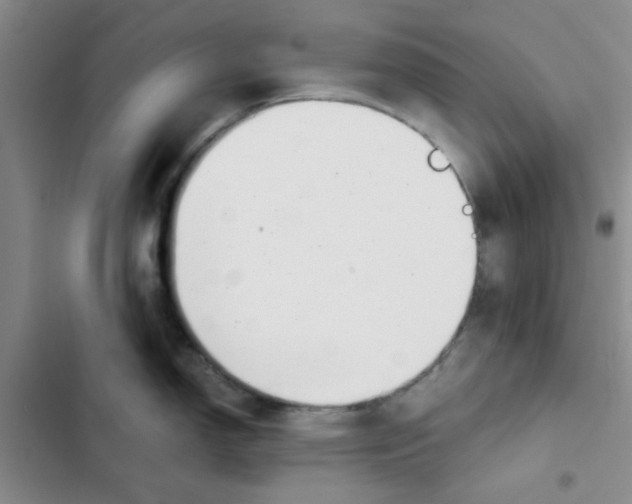 X0000102871150200809151229