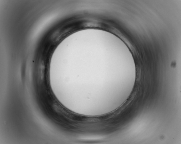 X0000102871151200809151229