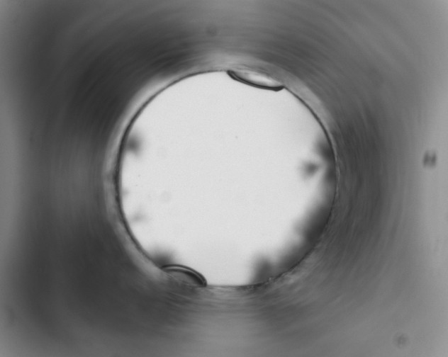 X0000102871152200809151229