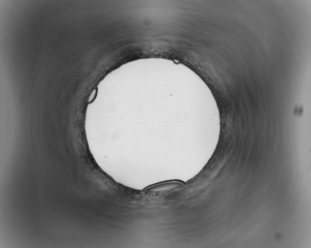 X0000102871153200809151228