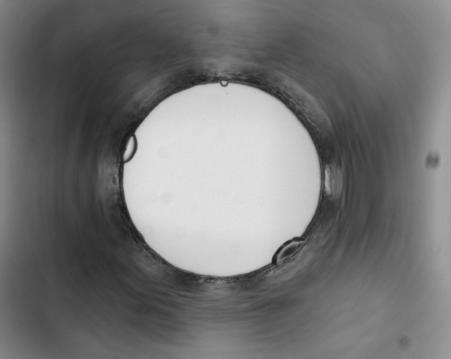 X0000102871155200809151228