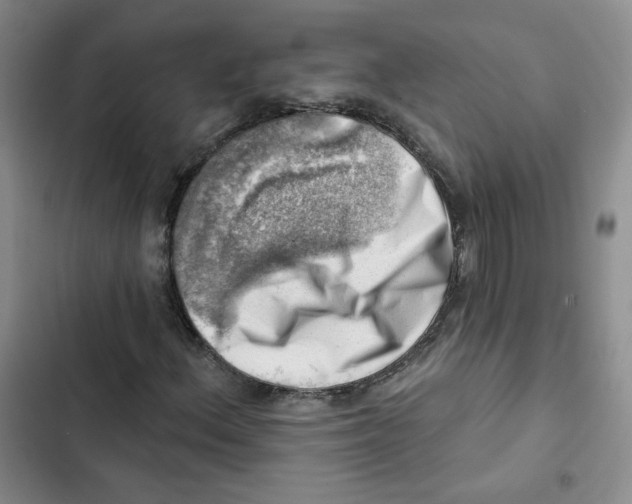 X0000102871156200809151228