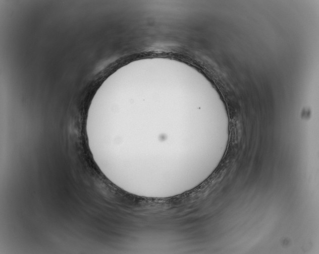 X0000102871158200809151228