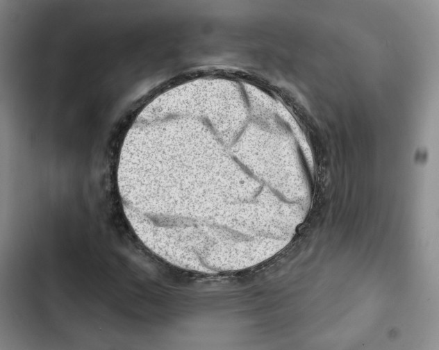 X0000102871159200809151228