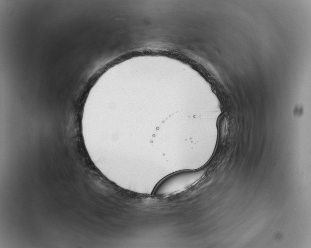 X0000102871160200809151228