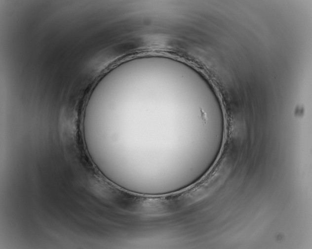 X0000102871161200809151228