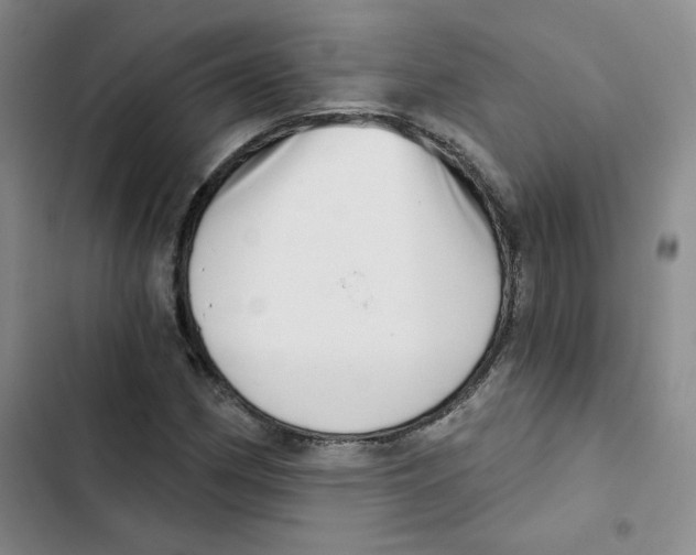 X0000102871162200809151228