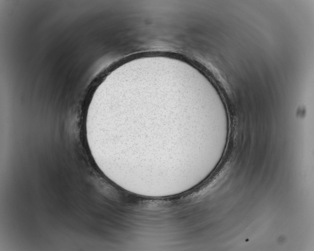 X0000102871163200809151228