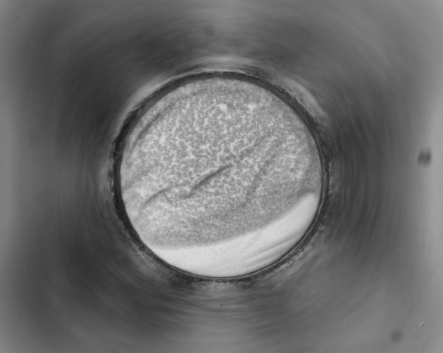 X0000102871164200809151228