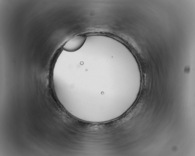 X0000102871165200809151228