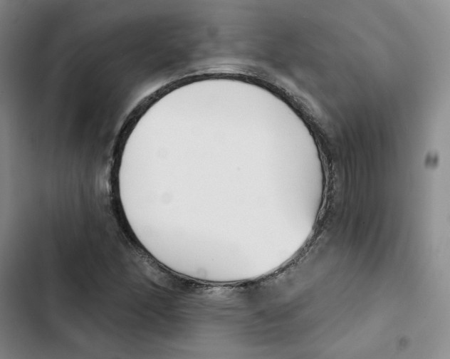 X0000102871166200809151228