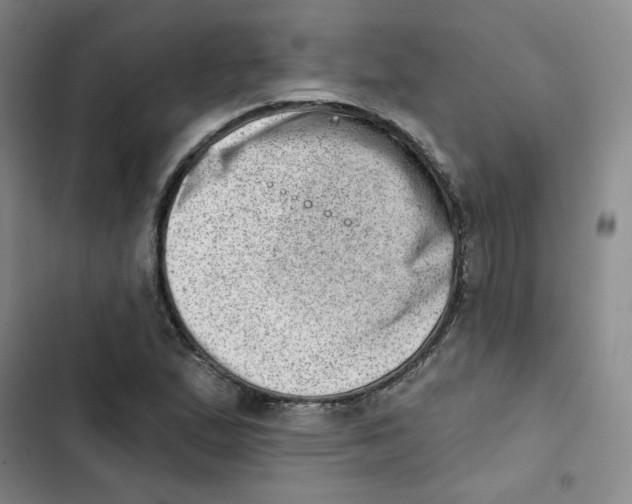 X0000102871167200809151228