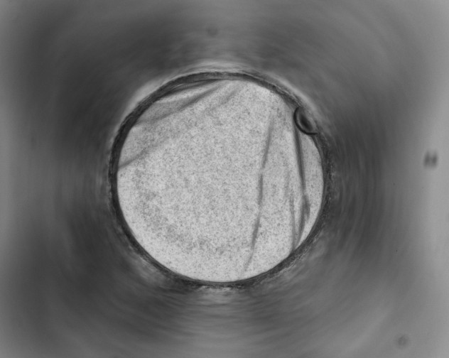 X0000102871168200809151228